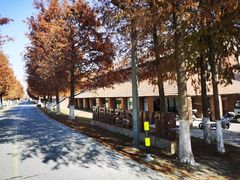 -祝甸砖窑文化馆