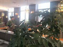 -纪林菜馆·博山菜老字号(华光路店)
