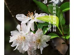 -洛阳市隋唐城遗址植物园