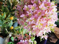 -LYFATTI 莱芙缇(赣水路店)