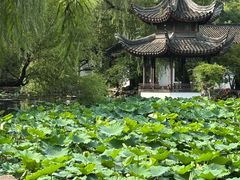 -墅园