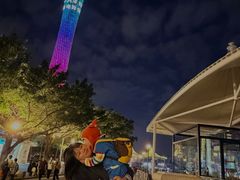 -海心沙亚运公园