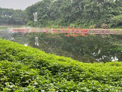 -广州长隆飞鸟乐园