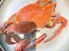 鲜活梭子蟹-古京·臻致料理(月湖店)