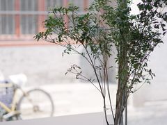 -VOYAGE COFFEE(杨梅竹店)