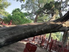 -晋祠公园