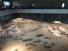 -自贡恐龙博物馆