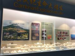 -辽宁古生物博物馆