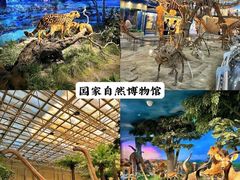 -国家自然博物馆