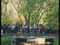 -上海共青森林公园