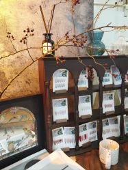 -鲸彩·美甲美睫科技护肤