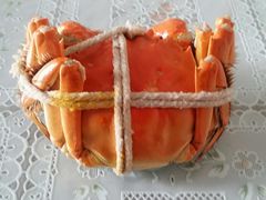 -七星龙虾城·海鲜·大闸蟹(吴江店)