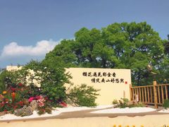 -南山植物园