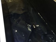 -黑鱼郭我家酸菜鱼(摩尔广场店)