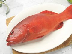 东星斑-盒马X会员店(上海森兰商都店)
