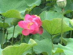 -四川大学(华西校区)