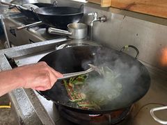 -遇龙河大樟树农家乐