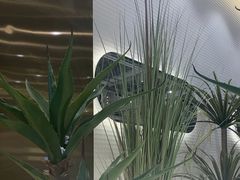 -兰湘子·湘菜小炒(崂山丽达店)