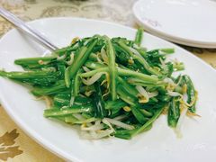 青龙菜-新峰肉骨茶