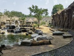 -北京野生动物园