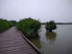 -西青郊野公园