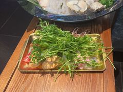 -牛New寿喜烧(金鹰世界店)