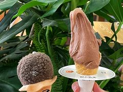 -野人先生Gelato(上海长宁龙之梦店)