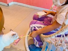 -藏猫猫咖啡主题馆(中央大道店)