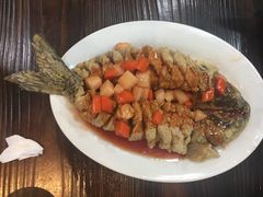 菊花松子鱼-凤厨顺德水乡凤味馆(大良锦龙路店)