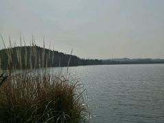 -仙海旅游度假区