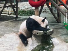 -栾川竹海野生动物园