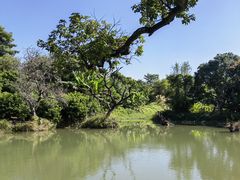 -鹤之洲湿地公园