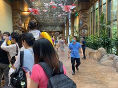 -杭州开元森泊度假乐园