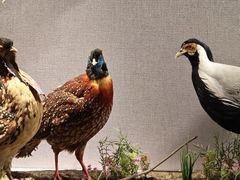 -武汉园博园(武汉自然博物馆)