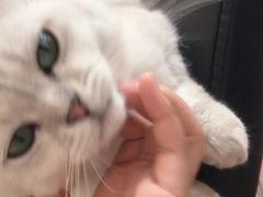 -青春加萌照相馆