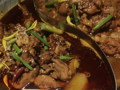 -成老灶火锅鸡(高东街店)