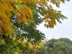 -广富林郊野公园