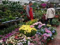 -三圣花乡旅游区