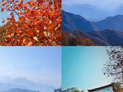 -秦岭风景区