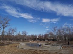 -莲花池公园