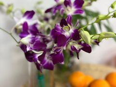 -万达广场(南宁青秀店)