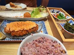 -堂本家·二代目·炸猪排(中心书城店)