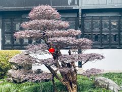 -绮园景区