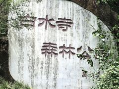 -白水寺森林公园