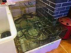 -百年恒益烧腊海鲜酒家·非遗传承(广州黄埔店)