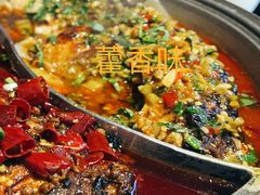 -莫熙炉鱼(旭海时代广场店)