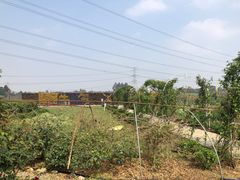 -紫颐香薰山谷景区