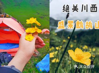 成都周边游超级川西冷僻露营圣地——鹧鸪山