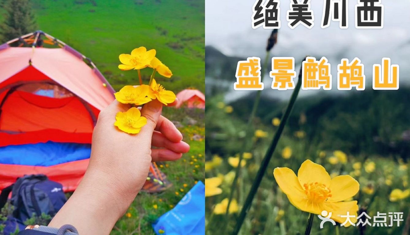 成都周边游[糖果]超级川西冷僻露营圣地[礼花]——鹧鸪山