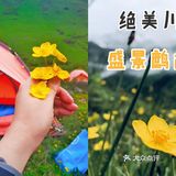 成都周边游[糖果]超级川西冷僻露营圣地[礼花]——鹧鸪山